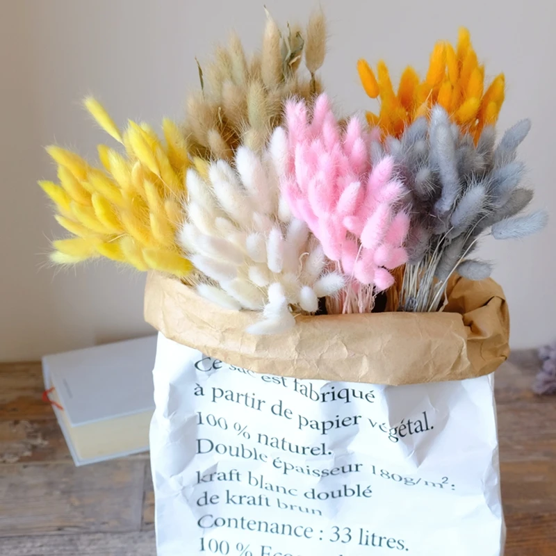 High Grade 50 Stems dried lagurus ovatus bunny rabbit tails for home decor bouquet dry flower