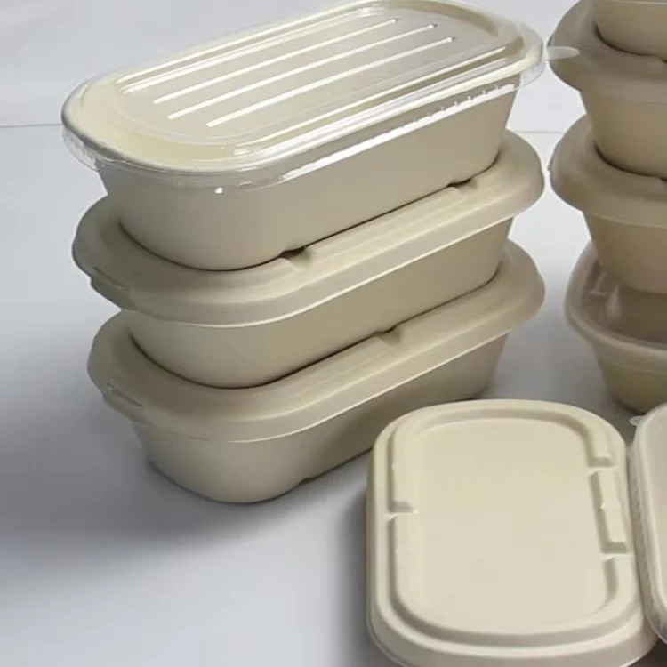 K&B ODM/OEM catering office microwave safe 2 compartments take away disposable bento lunch box