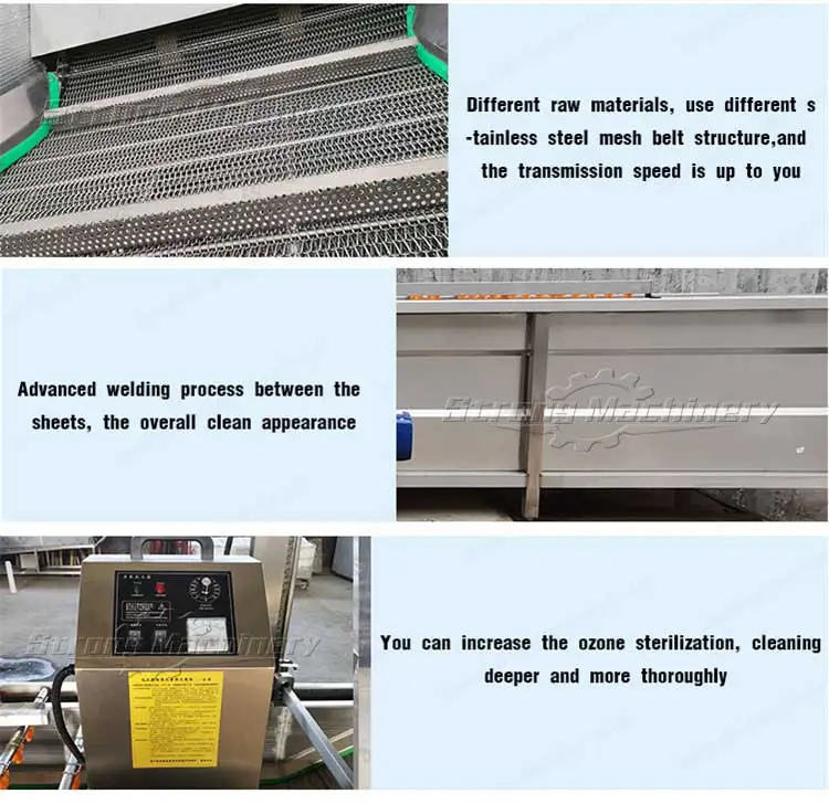 Celery Spinach Wash Green Leafy Vegetable Clean Machine