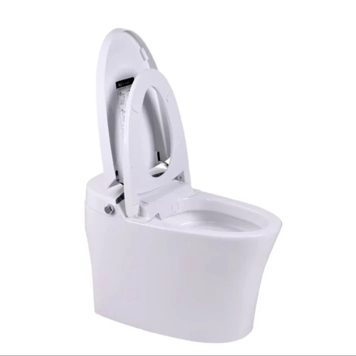 Top bathroom smart toilet made in China Bidet electric toilet  ceramic toilet
