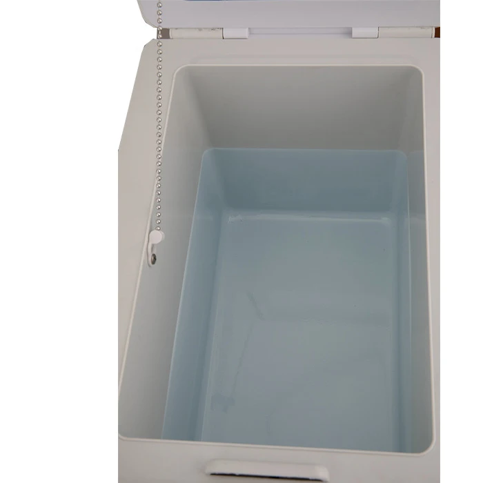 Best Seller DC12V Car Fridge High Capacity Drink Freezer Car Refrigerator 12L