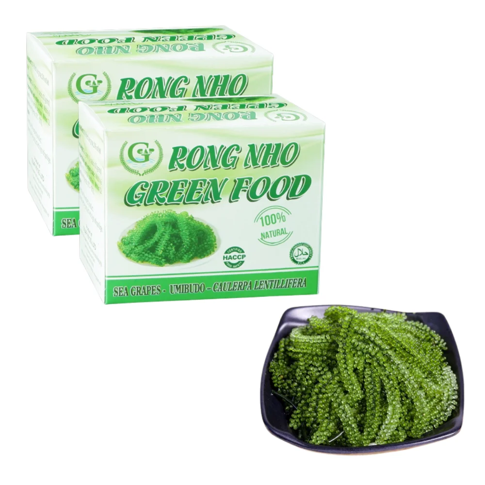 High Nutritious Vegan Sea Grapes Meal Haccp Certified Dried Nori Style Hot Selling from Vietnam in Carton Box Packaging
