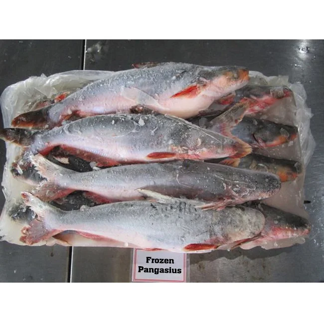 Frozen pangasius fish price pangasius base fish vietnam frozen base pangasius fish for sale
