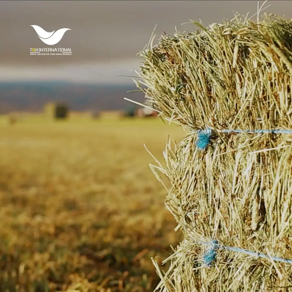 PP Material polypropylene baler twine