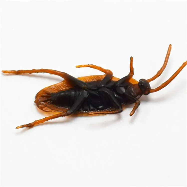 Spoof scary simulation cockroach realistic fake cockroach trick toy
