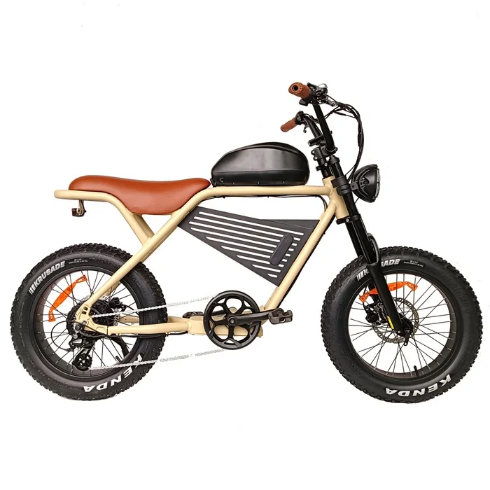 Factory 750w fat tire Retro electric motor bike
