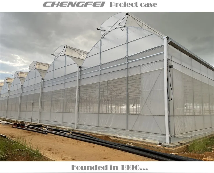 Customizable size Agricultural Low Cost Plastic Film Covered Sawtooth Greenhouse