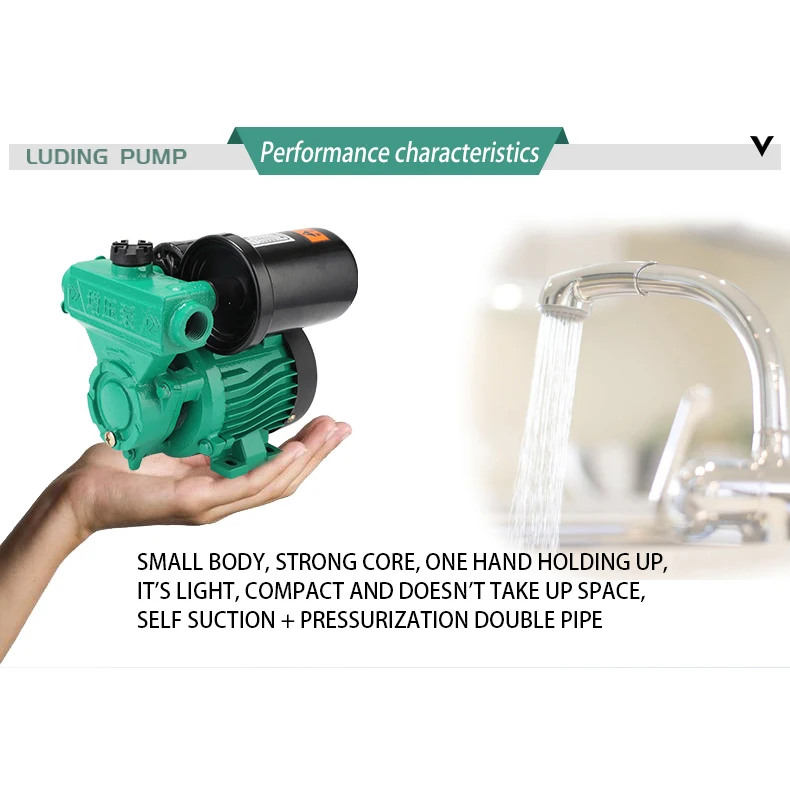Family Homes Durable Economical Automatic Hot And Cold Water Self-Priming Pump