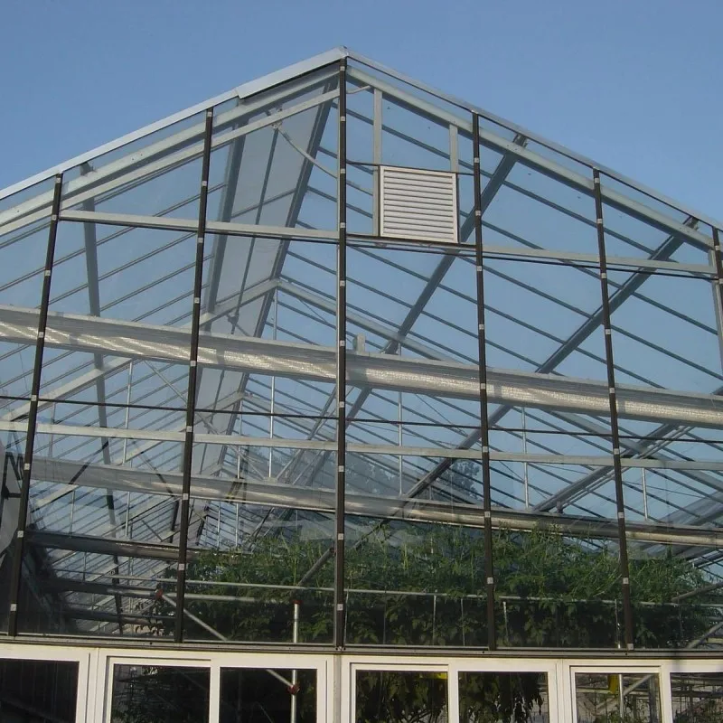 Agriculture Tomato Greenhouse Frames Plastic Film Single Span Tunnel Greenhouses for plant