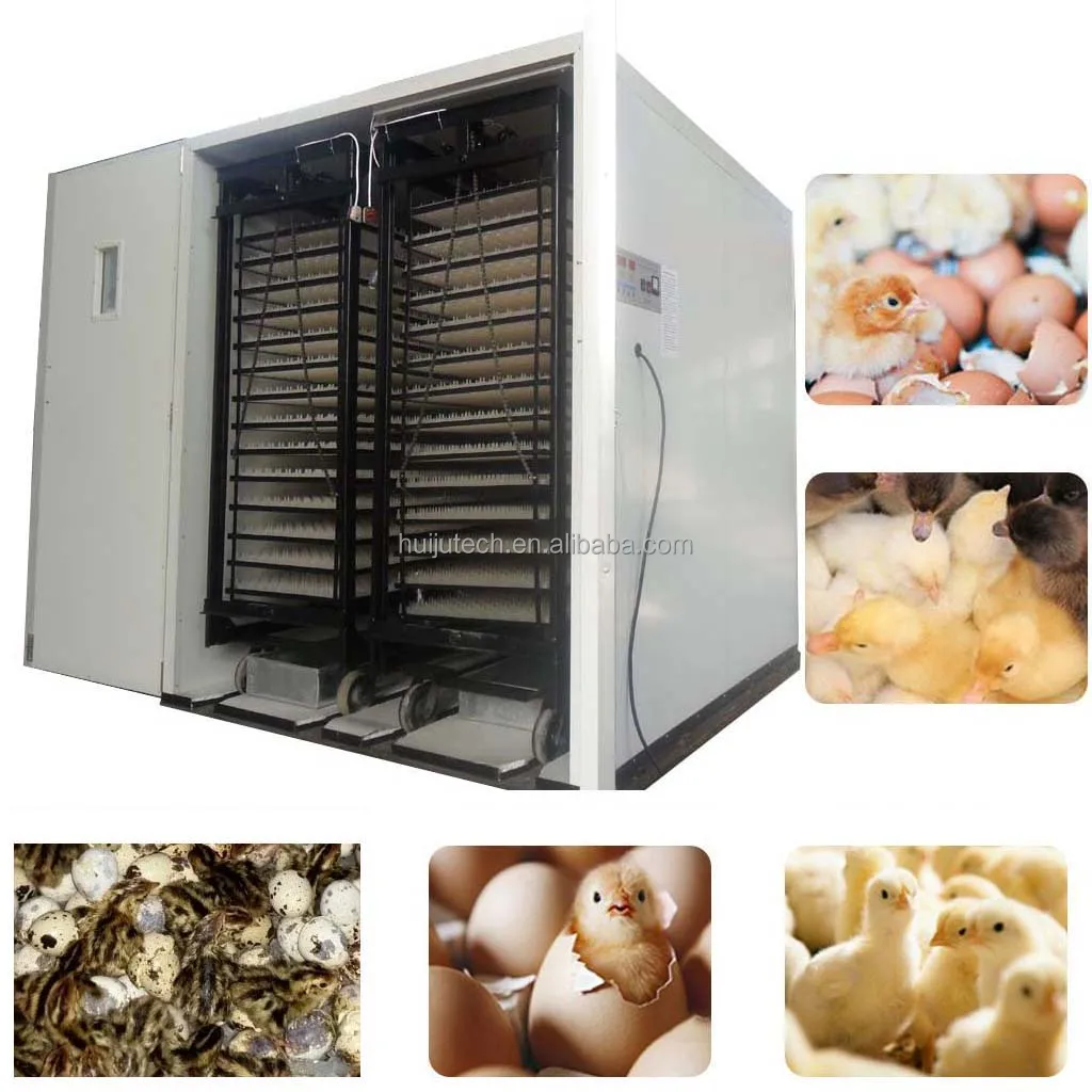 10000 eggs capacity incubator with hatchery Commercial Industrial Completely Automatic Egg Incubator Reptiles Hatcher Machine