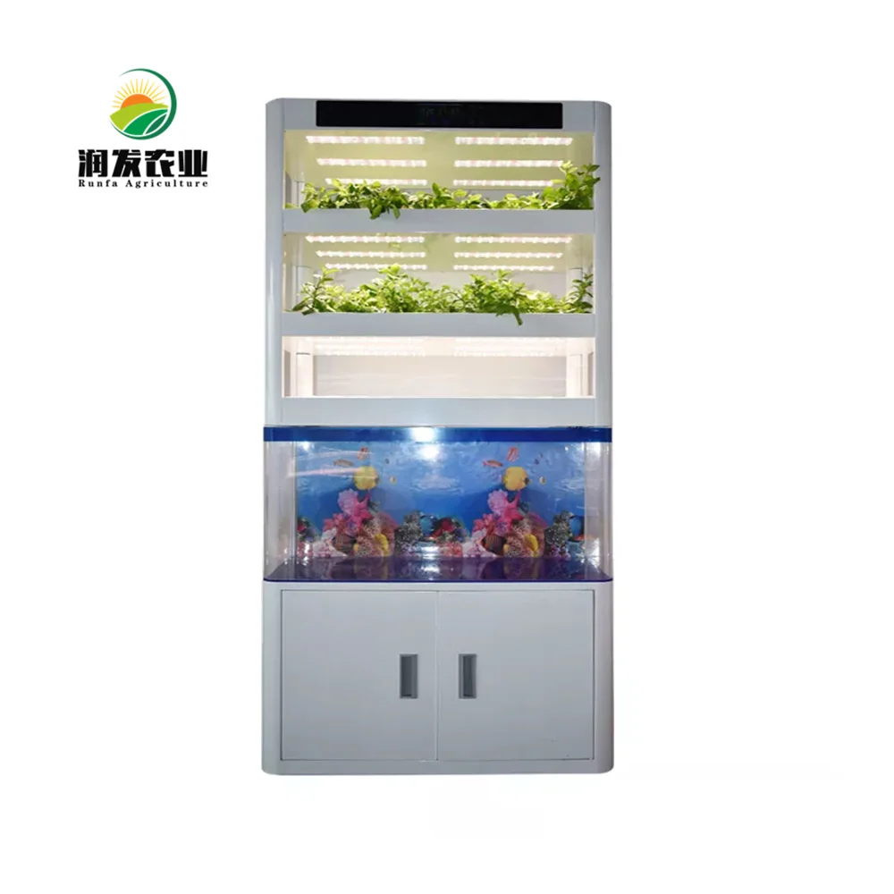 Professional Design Automatic Intelligent Hydroponic Grow System