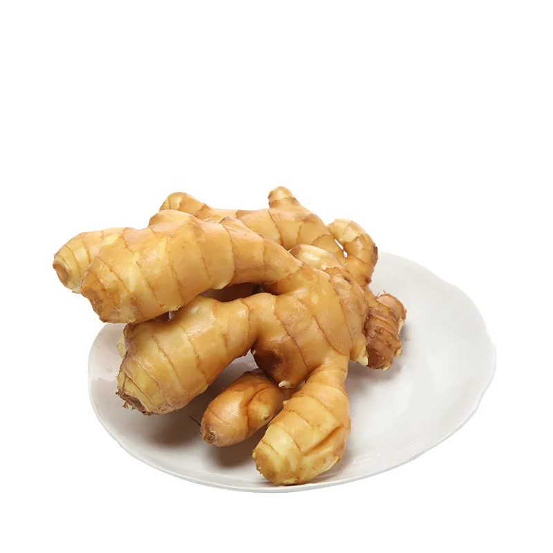 Sweet Fresh Holland Potato Seeds 2021 Price,TSPT22, sweet potato, Fresh Potato Price, Holland Potato Farms