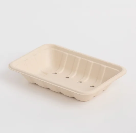 Customizable Freezer Safe Waterproof Eco Friendly Bagasse Biodegradable Disposable Supermarket Fruit Tray Plate