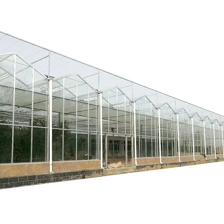 Venlo Hydroponic System Agricultural Greenhouse Multi-Span Greenhouse Commercial Glass Green House For Vegetables