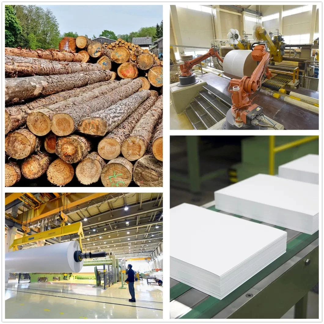 a4 copy paper jumbo roll 80gsm paper