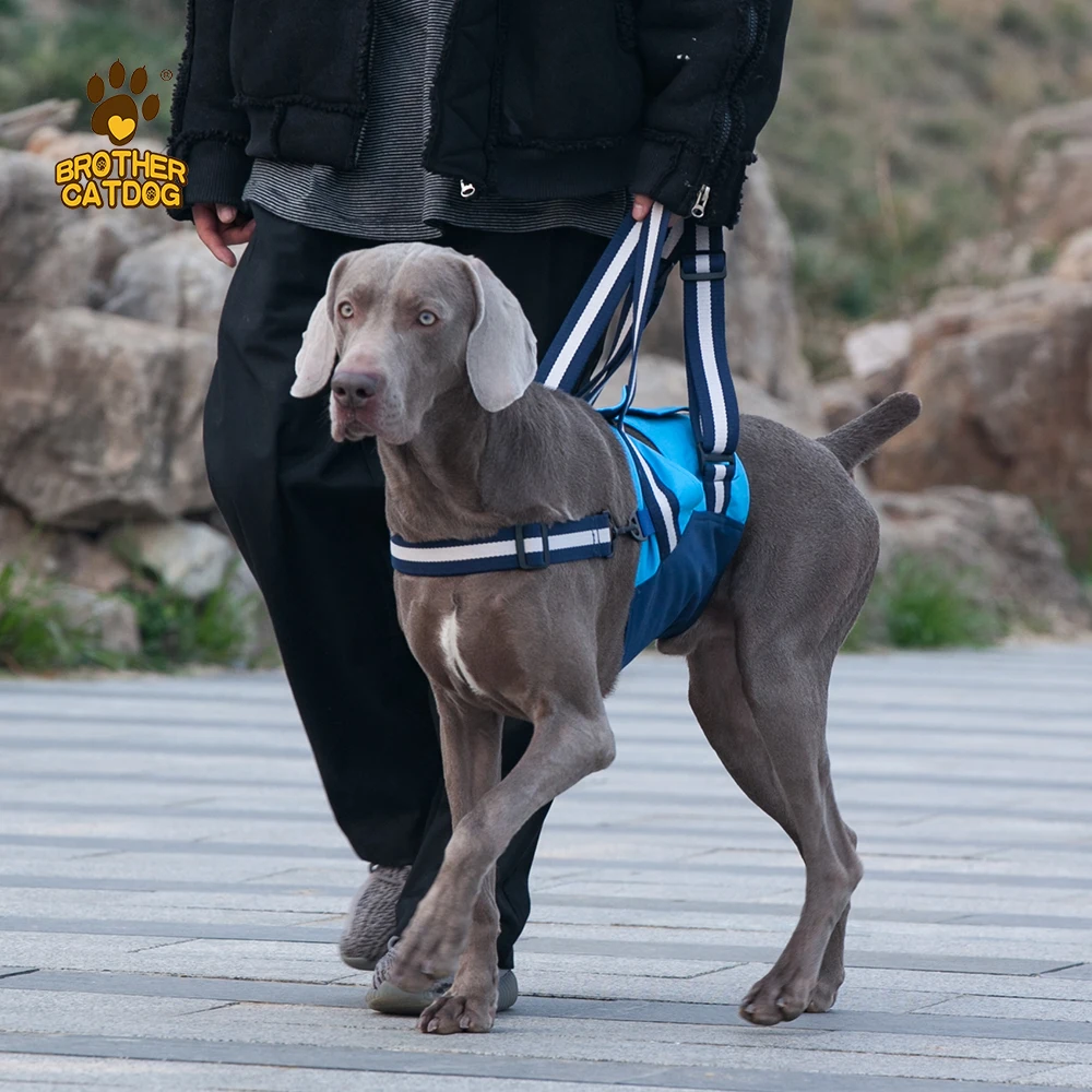 Pets accessories  Injured dog support harness belt  soft padded large dog Rehabilitation belt  custom design disable dog harness