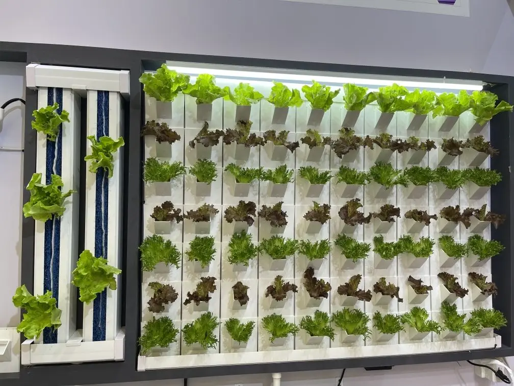 High Quality indoor vegetables wall type greenhouse vertical hydroponic growing systems