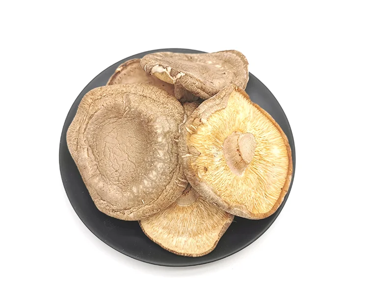 The factory price Top sell  Mushrooms  Dried Mushrooms Organic Shitake Dry Mushrooms