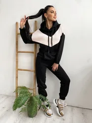 Women Fall Casual Plain Loose 2 Pieces Jogger Sweatshirt sweatpants and hoodie women sweatsuit set tracksuit