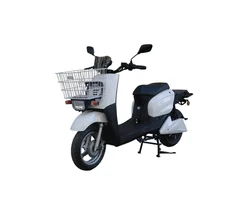 1500w 2000w Brushless Motor E Electric Powered Bike Moped Scooter with Rear Food Truck