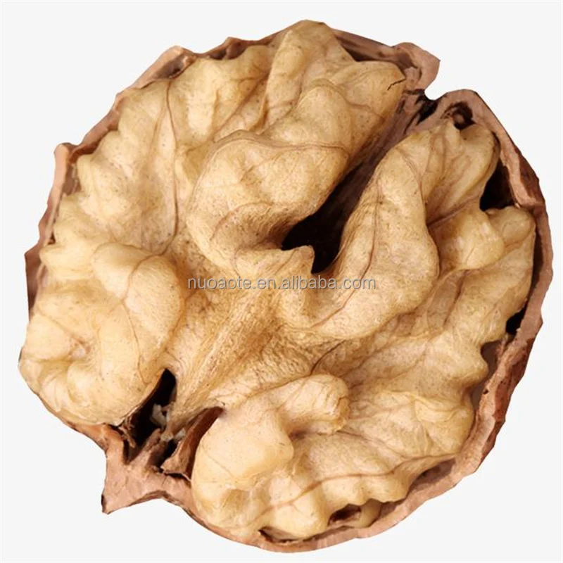 walnut kernel extra light halves for hot sale