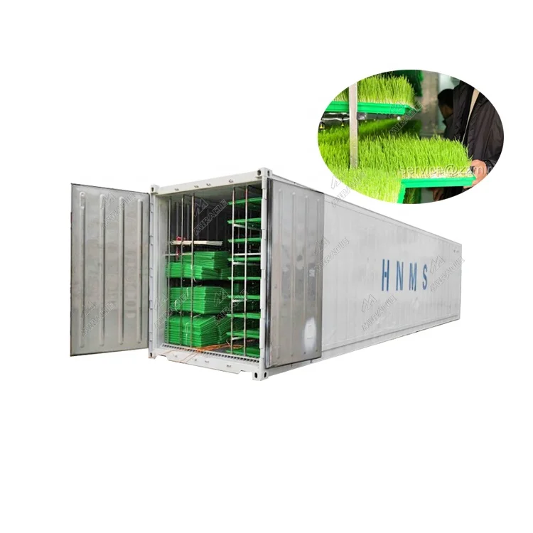 Shipping Container Type Hydroponic Barley Seed Sprouting System with daily capacity of 500 kg fresh fodder for animal feed