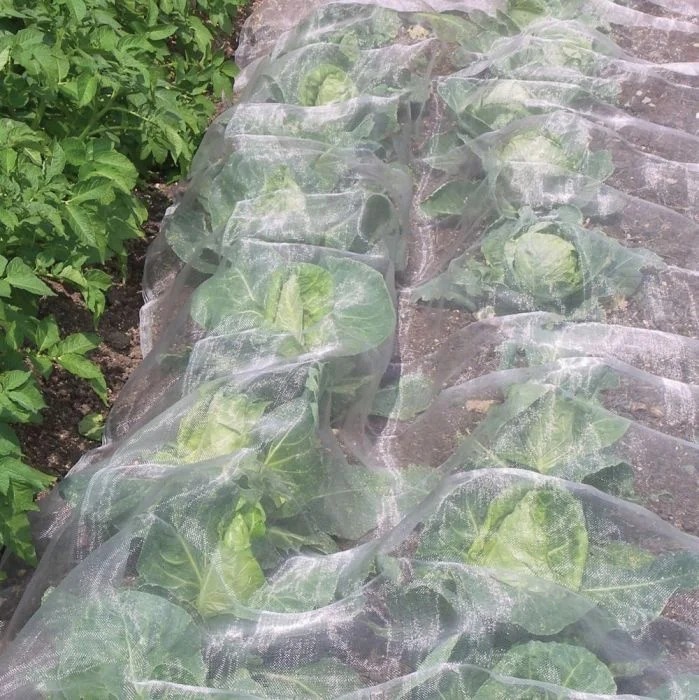 HDPE+ UV Plastic Mesh Resistant Greenhouse Insect Net anti insect net for Green house