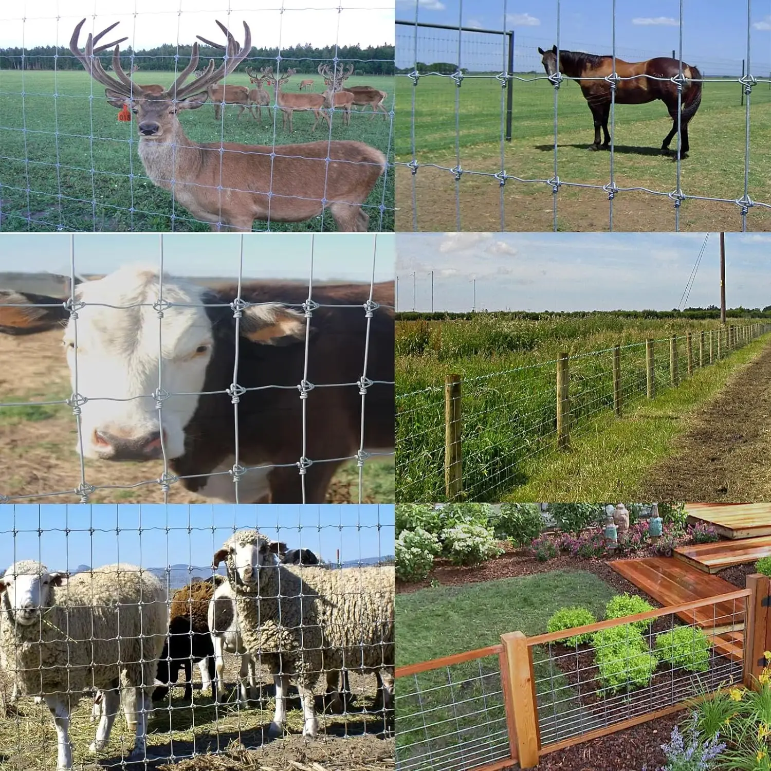 2024 Zinc Coated Galvanized Welded Wire Welded Iron Wire Mesh And 2x2 Galvanized Cattle Welded Wire Mesh Panel