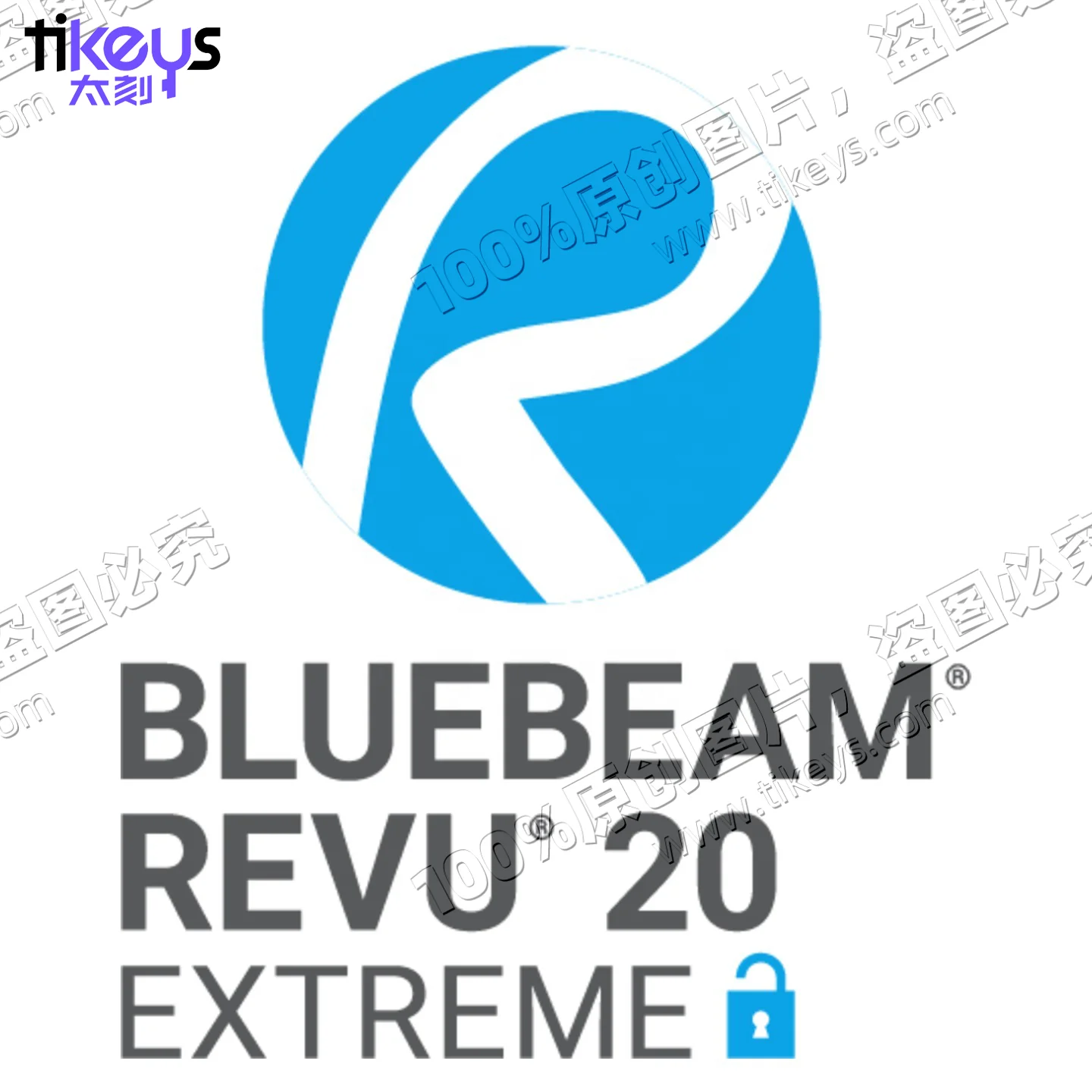 24/7 онлайн Bluebeam Revu eXtreme 20.2.90 пожизненный ключ официальное подлинное Оригинальное программное обеспечение для редактирования и производства PDF не Revu 21