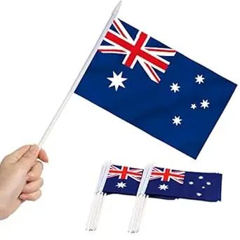 in stock free sample Qatar flags Custom national 2024 Asian Cup Double Line Side national japan flag for hand flags with pole