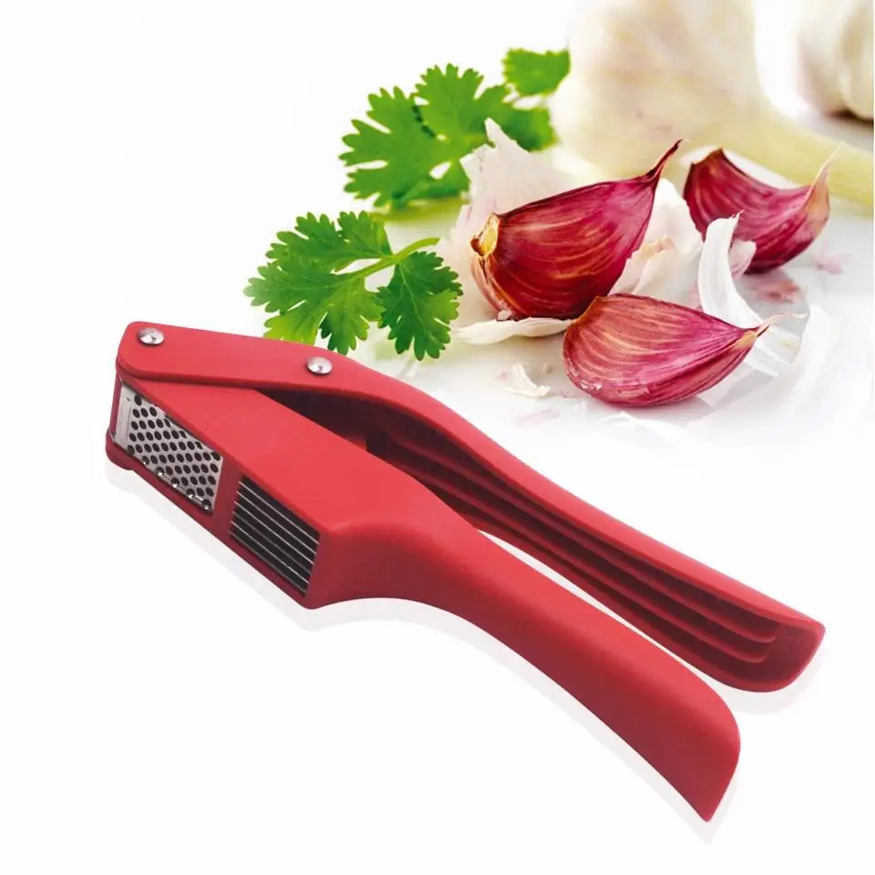 Hot Sale New Design Professional Kitchen Items Vegetable Tools Stainless Steel Garlic Press Tool