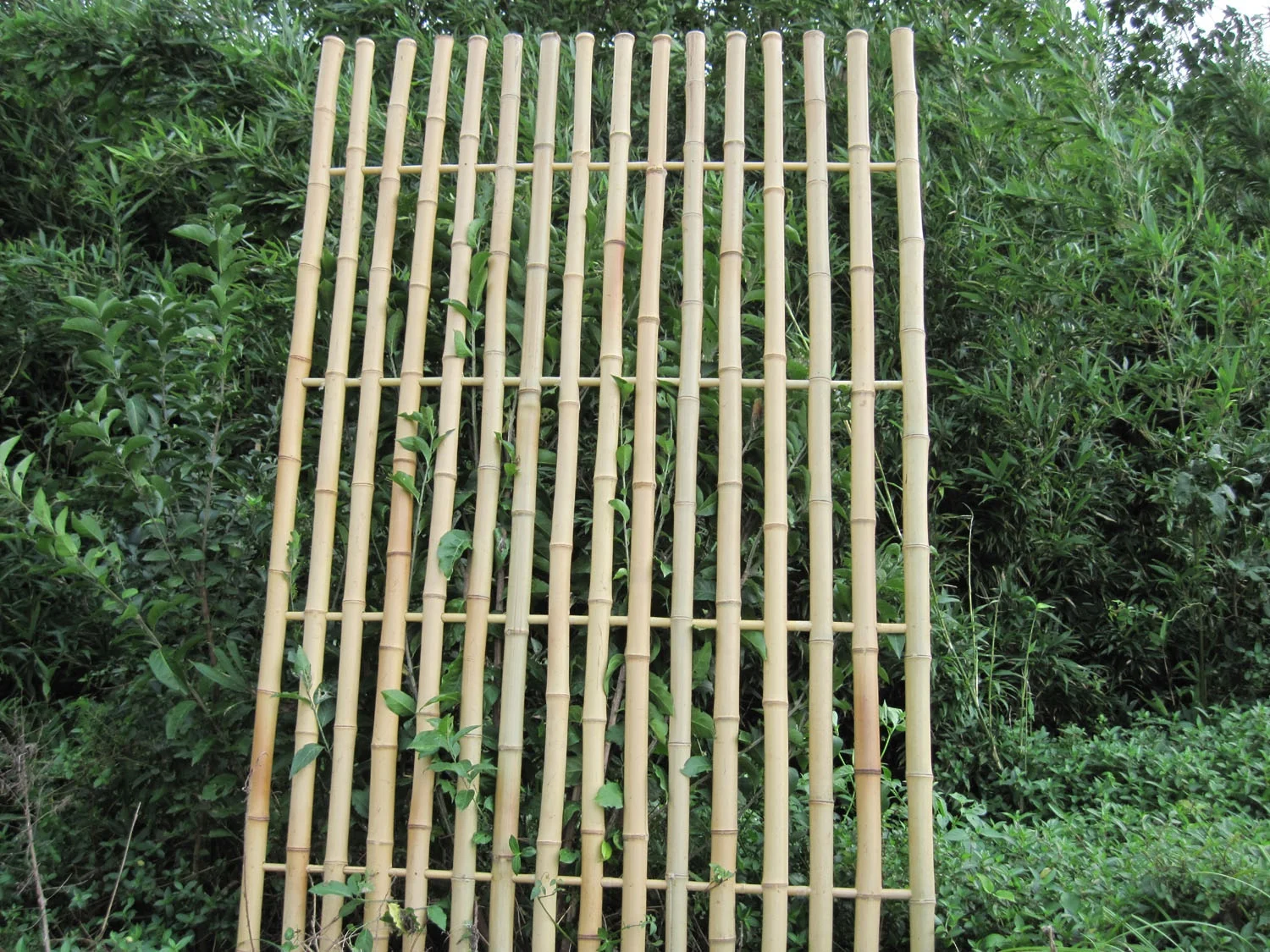 Fence Panel Bamboo Materials for Garden, Bamboo Fence Panel Outdoor, Bamboo Panels