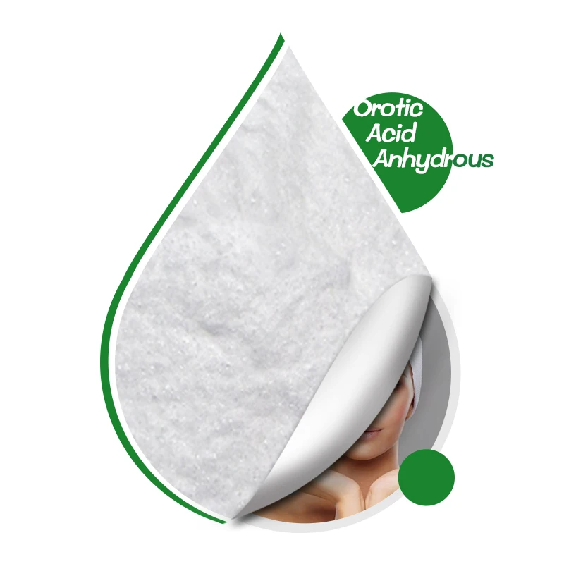 Halal Wholesale Orotic Acid Powder CAS 65-86-1Vitamin B13 Food grade Pure 99% Orotic Acid Anhydrous In Stock