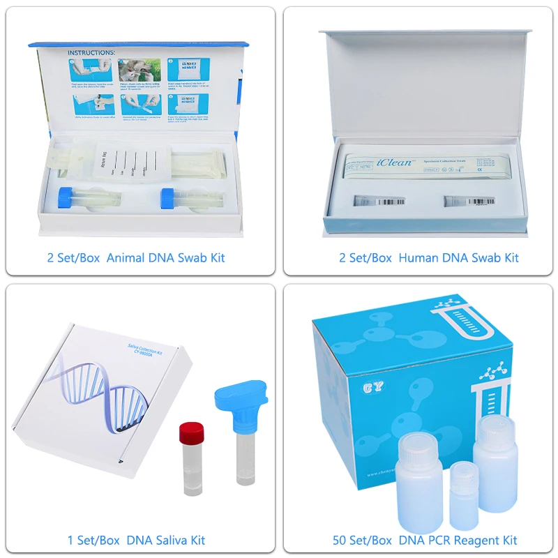 magnetic bead  Nucleic acid extraction kits RNA Isolation DNA purification  lab reagent
