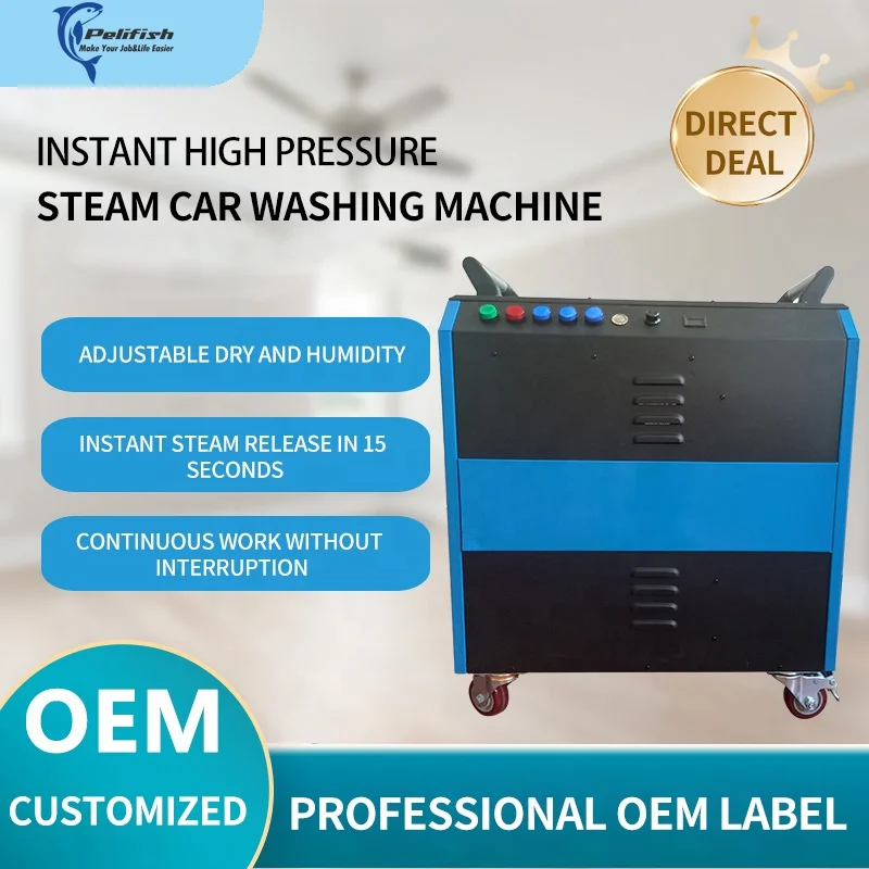 9bar Steam out in 30 seconds chemical reactors Kitchen Hood cleaning remove heavy grease industrial high pressure steam cleaner