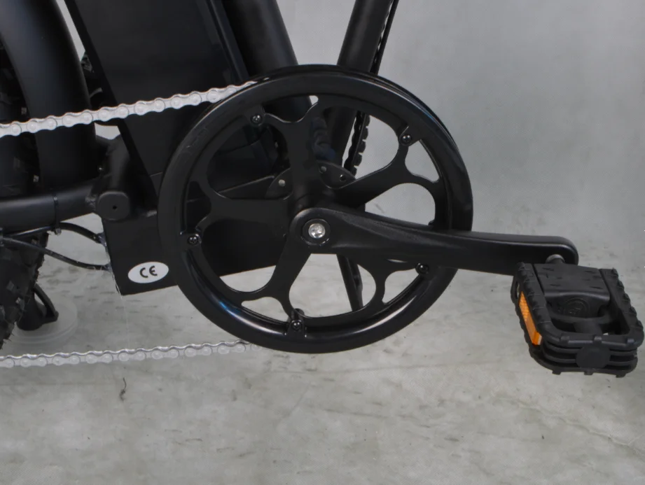 High Quality Electric Bicycle 500W Low Price e bike 500W 20Inch Folding electric bike