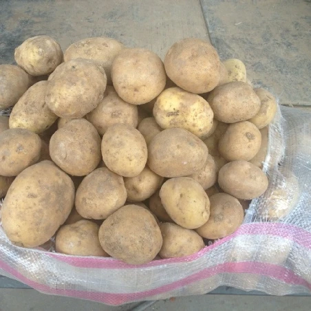 
Fresh Potato 