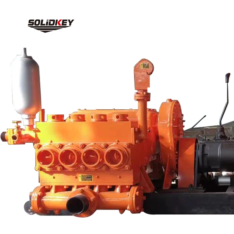 Drilling rig mud pump