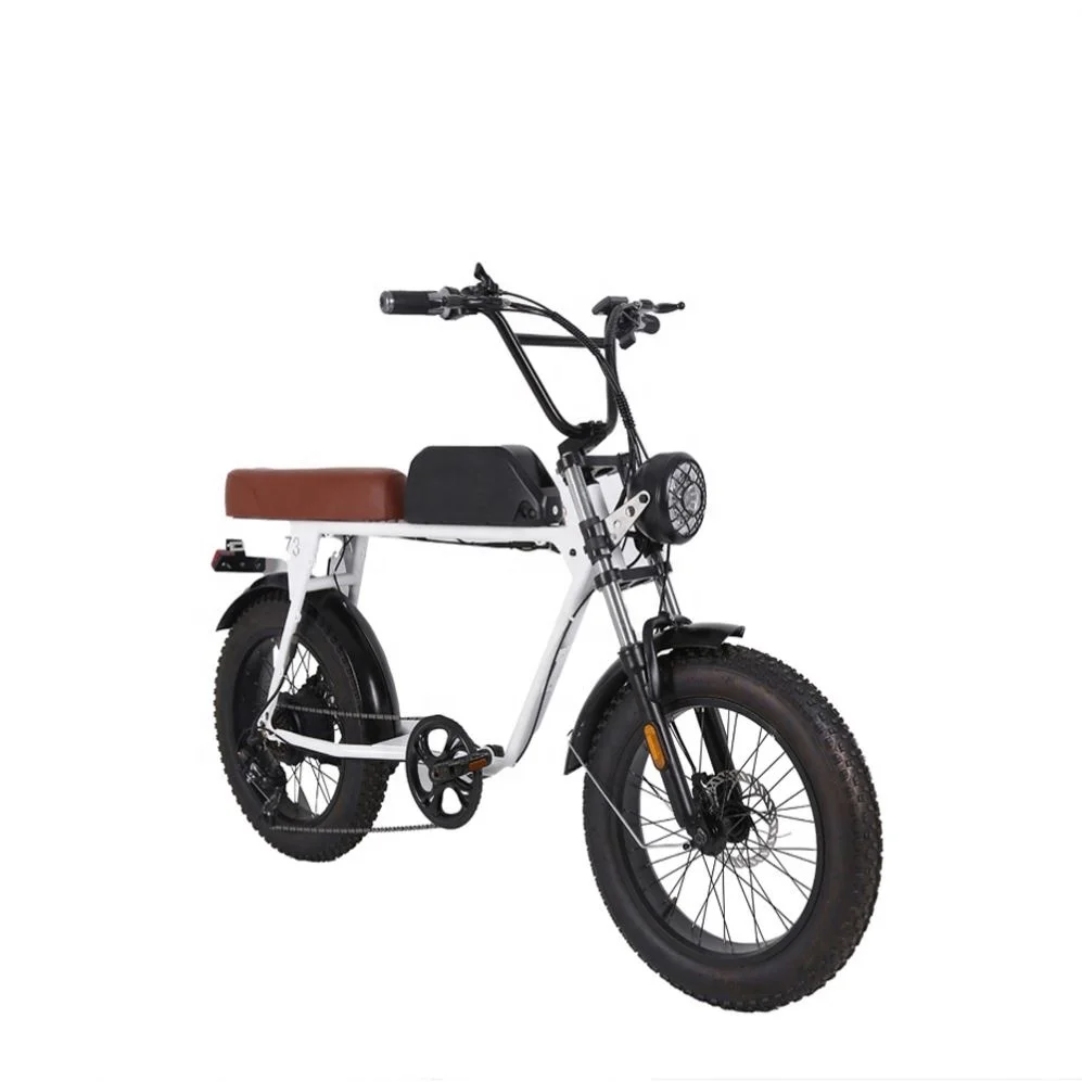 Aluminum 29 Inches 36v 500w Best E-bike Fat Tire Cruiser Fat Tire Electric Bike Rear Motor Adult Bicycle Manufacturer