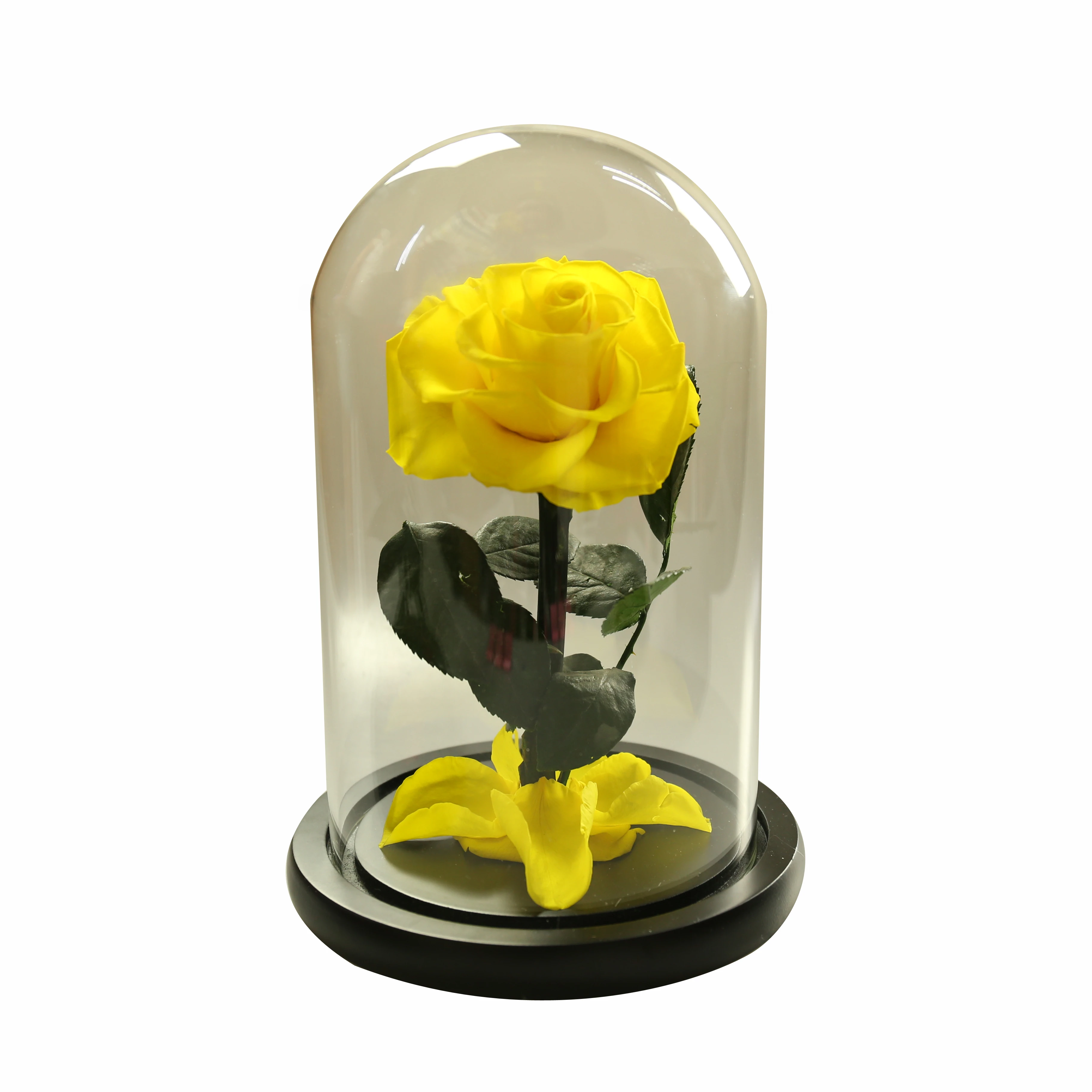 Drop shipping Stabilized Preserved Flower Bouquet Gift Box Christmas Gift Rose Flower sunflower best ideas Gift flower orchid