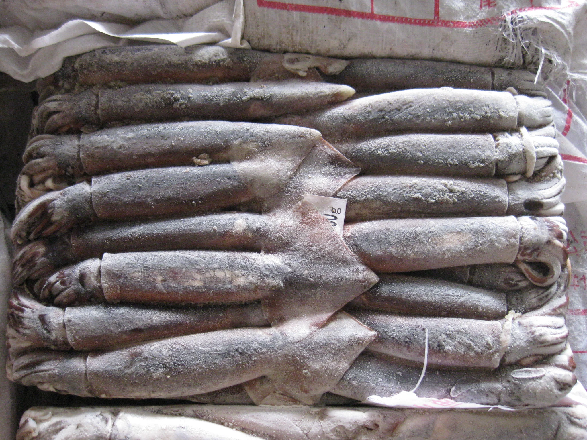 Factory hot sale product high quality healthy seafood fresh calamari frozen squid