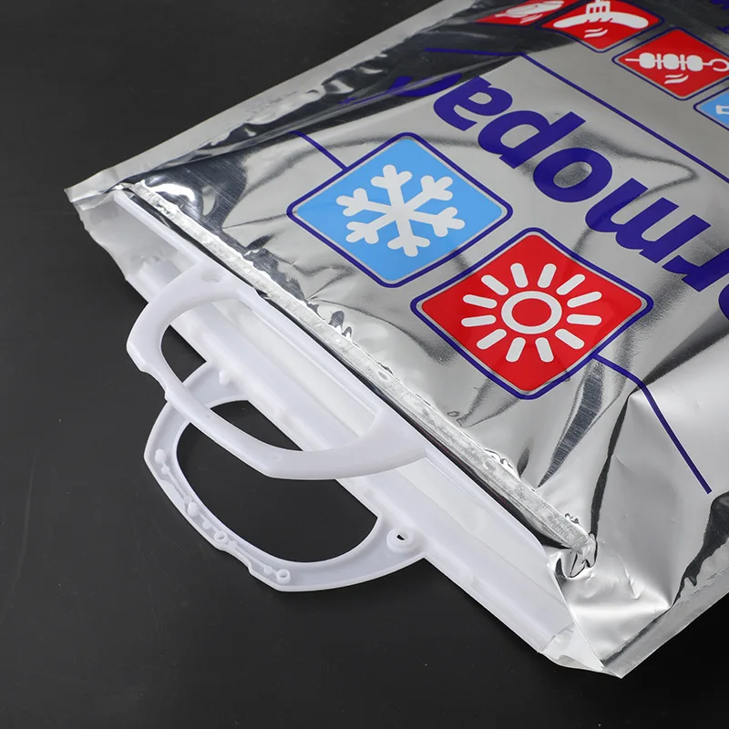 PET Aluminized Insulation Bag LDPE Beer Ice Cream Wine Ice Bag Plastic Pearl Cotton PE Cooler Bag with Custom Print Logo