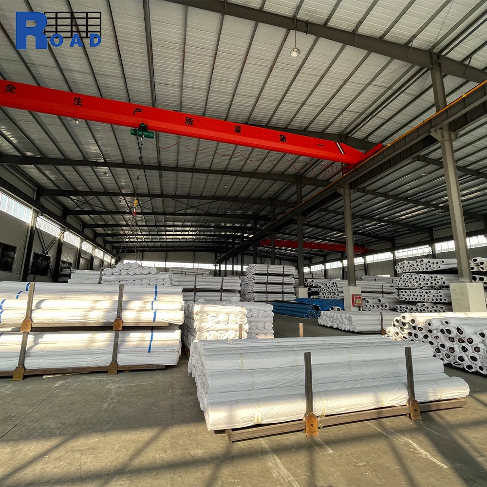 High Strength Polyester Customized Reinforcement Mining Geogrid/Road Surface Reinforcement, Ramp Reinforcement Geogrid