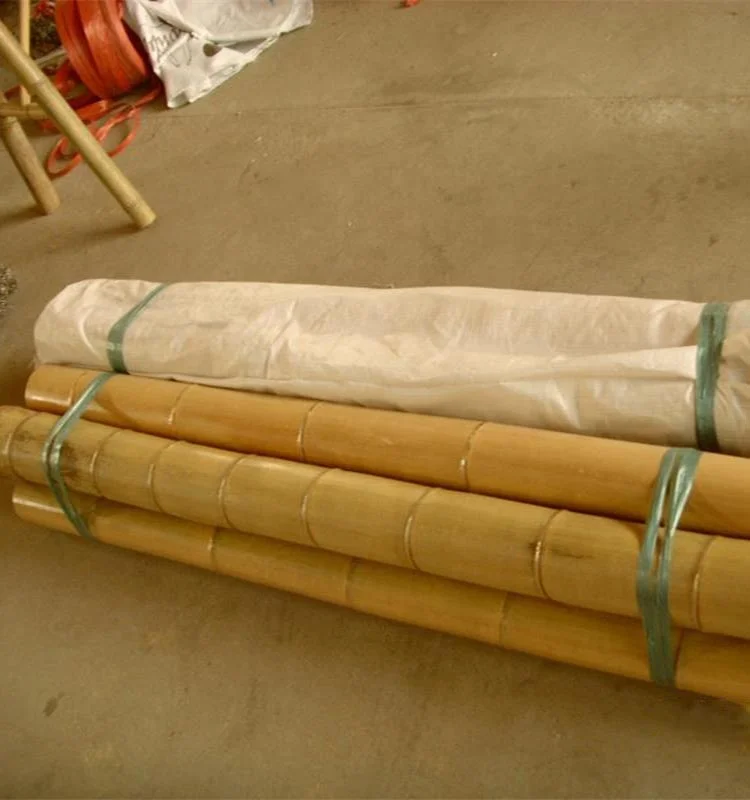 
Natural Moso Bamboo Poles for Construction, Moso Bamboo, Big Bamboo Poles 