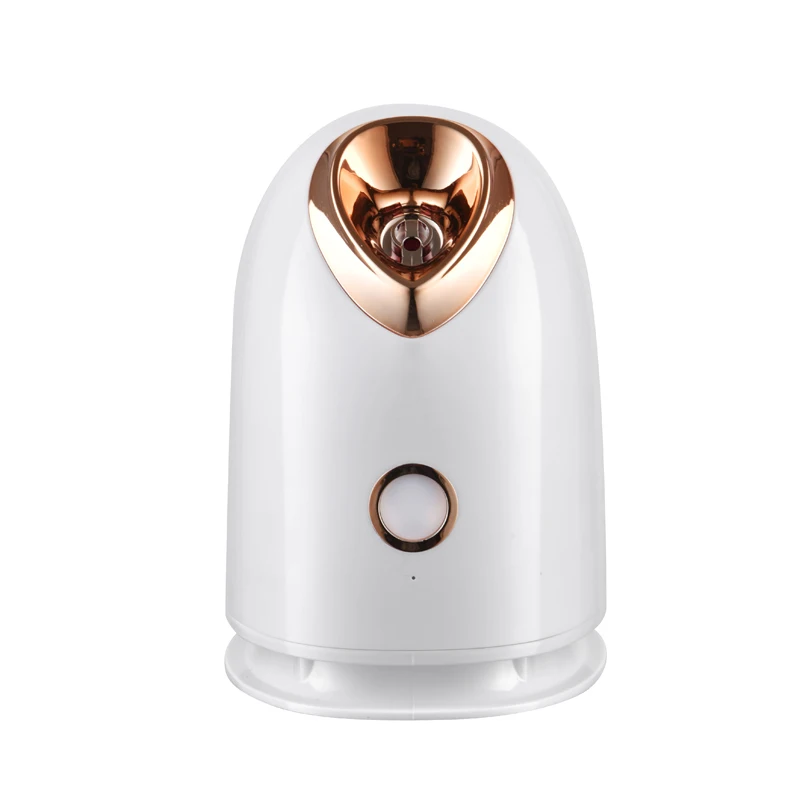 Christmas Gift Skin Deep Cleansing Ionic Face Steamer Machine Nanometer Electric Facial Steamer for Home