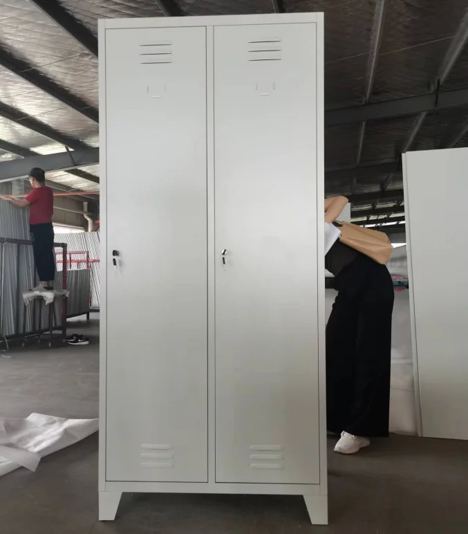 Luoyang Factory Hot Sale Cheap 2 Door Gym Lockers Powder Coated Steel Storage Clothes Metal Lockers
