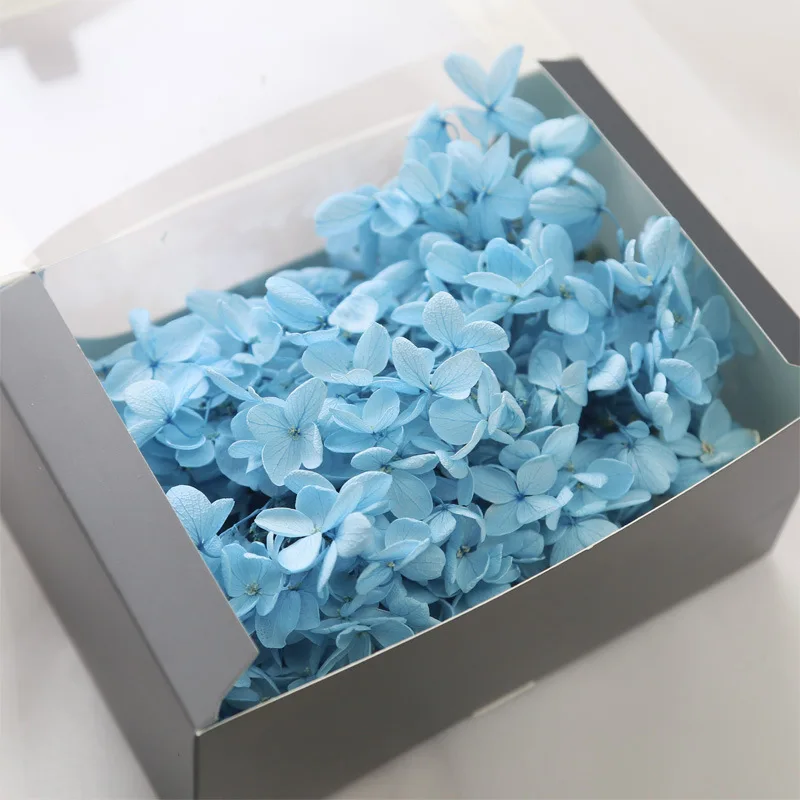 Wholesale stabilized flower customized color preserved fresh hydrangea