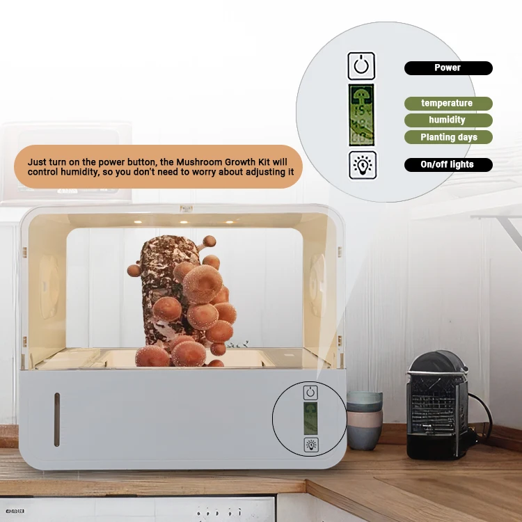 A+ quality Vertical Farming Cheap Full Kit Grow Plant Large Complete Mushroom growing Kit