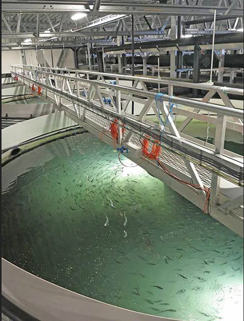 
High Brightness Long Distance Waterproof Squid Deep Sea Led Fishing Lights 