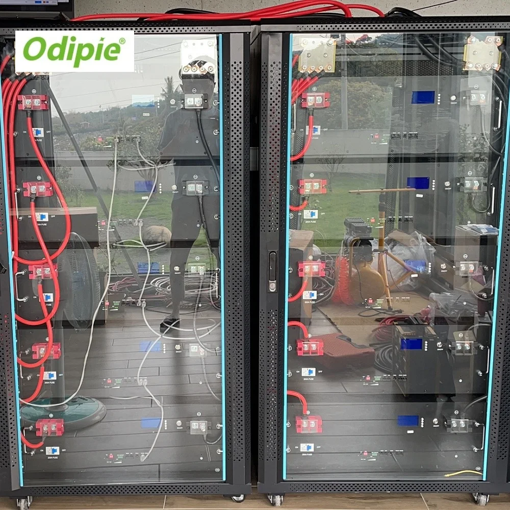 24V 48V 50Ah 100ah 200Ah 300Ah LiFePO4 LFP Lithium Ion Iron Phosphate Battery Rack Mounted Energy Storage Battery Pack